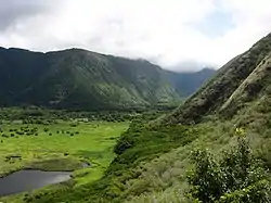 Vue de la partie inférieure de la vallée de Waipiʻo.