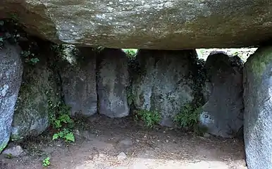 Fond du dolmen.