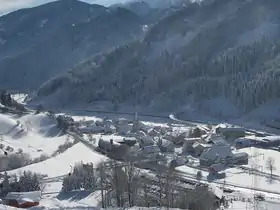 Wald am Schoberpass