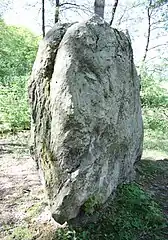 Le menhir Hinkelstein à Walhausen, Sarre.