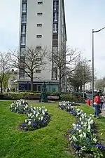 Fontaine Wallace et