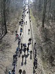 Vue de dessus de la Trouée d'Arenberg. Des passants circulent à pied entre les barrières délimitant la chaussée.