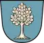 Blason de Wachenbuchen