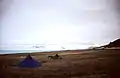 L’île Ward Hunt, camp et piste d’atterrissage, vue vers le Cap Columbia, île Ellesmere.