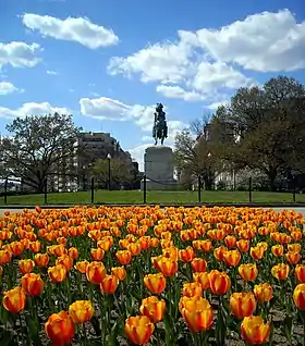 Statue de George Washington au Washington Circle, à Washington D.C.