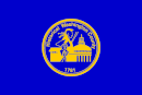 Drapeau de Comté de Washington(Washington County)