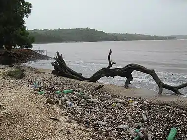 Déchets plastiques dans la « laisse de mer » de la plage de Coco Beach, en Inde.