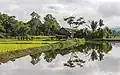 Reflet dans l'eau d'une cabane en bois entourée d'arbres, avec des paysans marchant dans les rizières de la campagne de Vang Vieng.