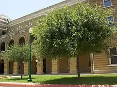 Vue d'un bâtiment avec ses arches, partiellement dissimulé par un arbre au premier plan.