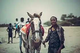 Image illustrative de l’article Cheval au Ghana