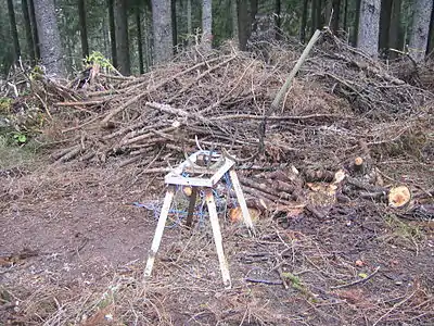 Fagots dans la Forêt Noire. Fagoteuse appelée Wellenbock