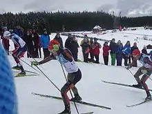 Un skieur de fond vue de coté