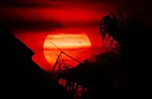 Coucher de soleil. On observe un point noir devant le soleil : Vénus.