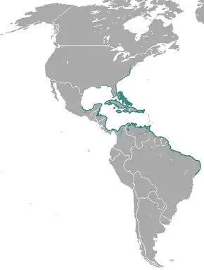 Aire de répartition du Lamantin des Caraïbes