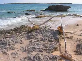 Pointe ouest de l'île d'Anguillita