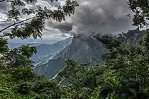 Montagnes d'Usambara (Tanzanie)