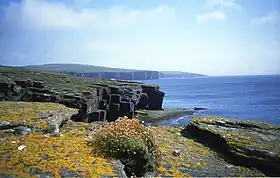 Falaises de Noup Head à Westray