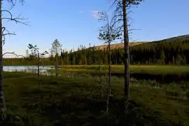 Zone humide entourée de forêts avec en arrière-plan un plateau dénudé.