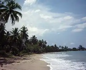 Plage à Wuvulu