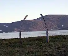 Côtes de baleines de l'Allée des Baleines