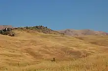Photographie d'une pente recouverte d'herbes sèches et dominée par une crête rocheuse.