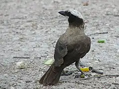 Description de cette image, également commentée ci-après