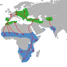 carte géographique