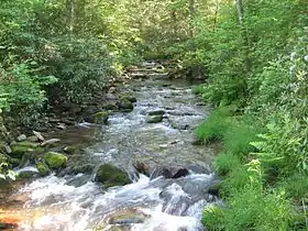 Le White Deer Hole Creek près de Fourth Gap.