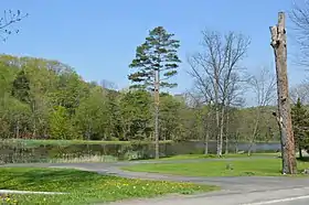 White Township (comté d'Indiana, Pennsylvanie)