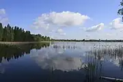 Lac Beloïé (en) (« lac Blanc »), nord de l'oblast de Riazan.