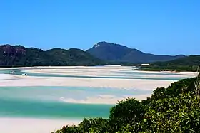 La plage de Whitehaven sur l'île Whitsunday.