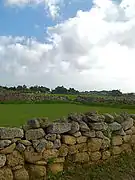 Muret sur lequel sont jetées des pierres retirées du champ, à Attard (île de Malte).