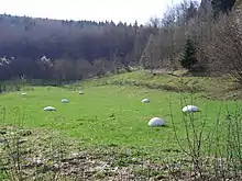 La source de l’Ill, à Winkel (Haut-Rhin)