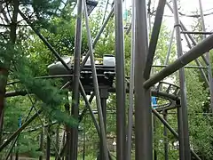 Description de l'image Wild Mouse Idlewild.jpg.