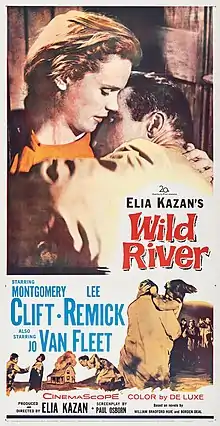 Description de l'image Wild River (1960 film poster - three sheet).jpg.