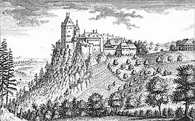 Image illustrative de l’article Château de Wildenstein (Suisse)