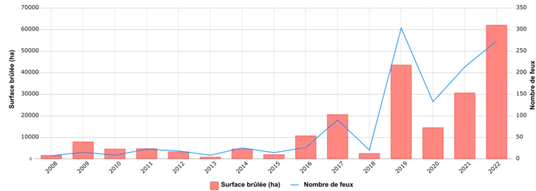 Surface brûlée et nombre d'incendies de forêts par an en France sur la période 2008-2022.