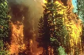 Feu de forêt en Californie, 5 septembre 2008