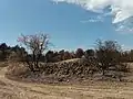 Les incendies sont réguliers dans le massif, ici à Saint-Cannat (été 2017).