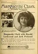 Wildflower (1914)