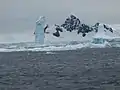 Icebergs dans la baie de Wilhelmine