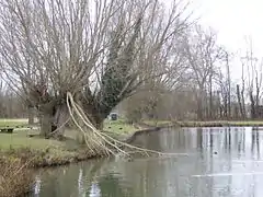 Base de loisirs des 6 Bonniers (les étangs).