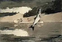 Le saumon d'eau douce, communément appelé ouananiche est une espèce prisée des pêcheurs.