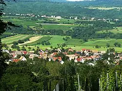 Wintzfelden