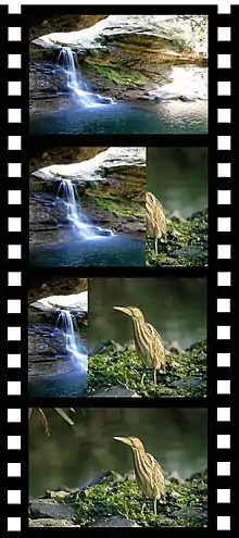 Photographie d’images successives effectuant une transition de gauche à droite (volet).