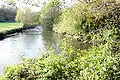 Confluence de la Wipper (à gauche) et de la Kerspe (à droite), qui deviennent la Wupper (au fond).