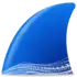 Description de l'image Wireshark icon new.png.