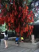 Arbre à prières à Foshan (près de Guangzhou) au temple Zu Miao. Le vœu est accroché à une pierre puis lancé dans l'arbre.