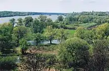 Vallée de la Vistule à l'est de Toruń, Pologne