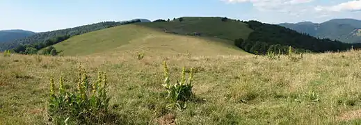 Vue du Wissgrut et sa ferme sommitale depuis le Plain de la Gentiane.